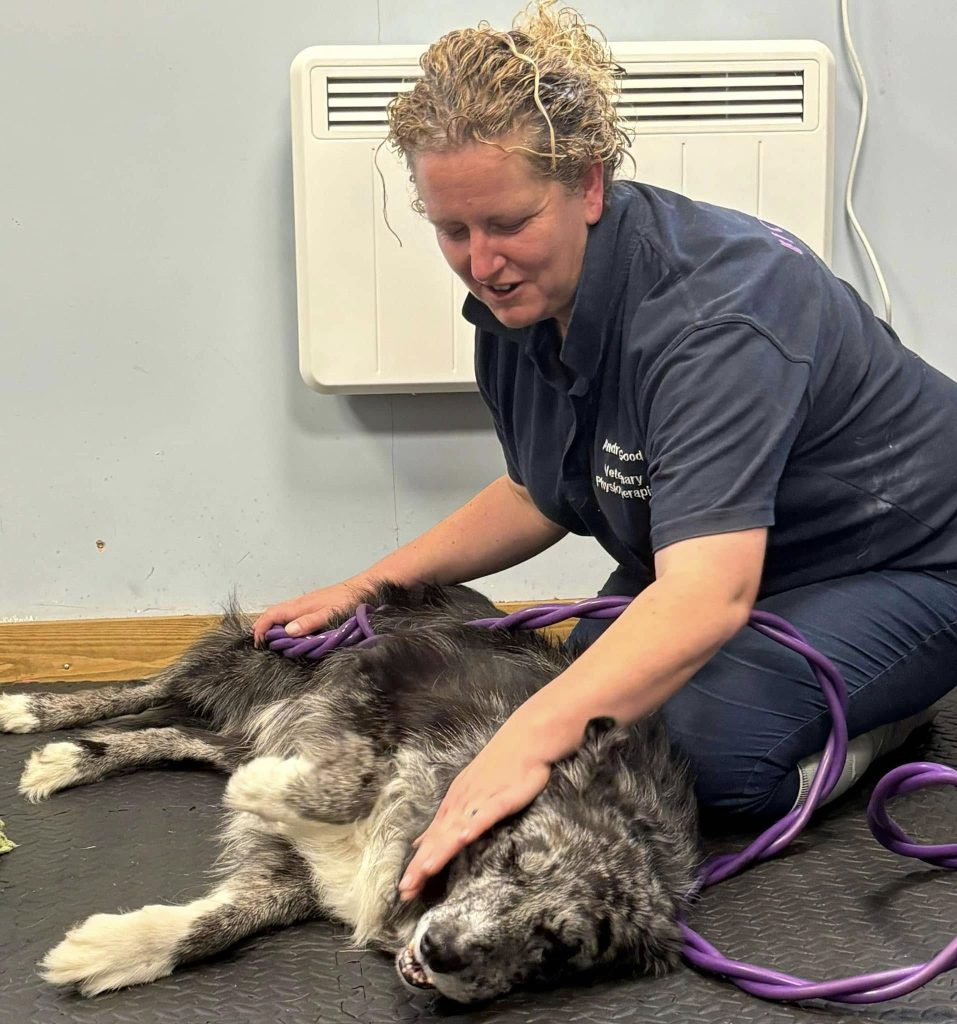 488525372 647671528108077 523487083116565976 n