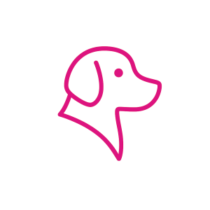 chatgpt image dec 1, 2025, 02 01 56 pm