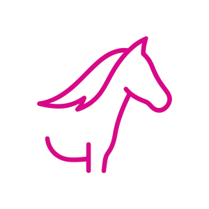 chatgpt image dec 1, 2025, 02 10 14 pm